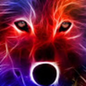 Meet your Posher, Magda